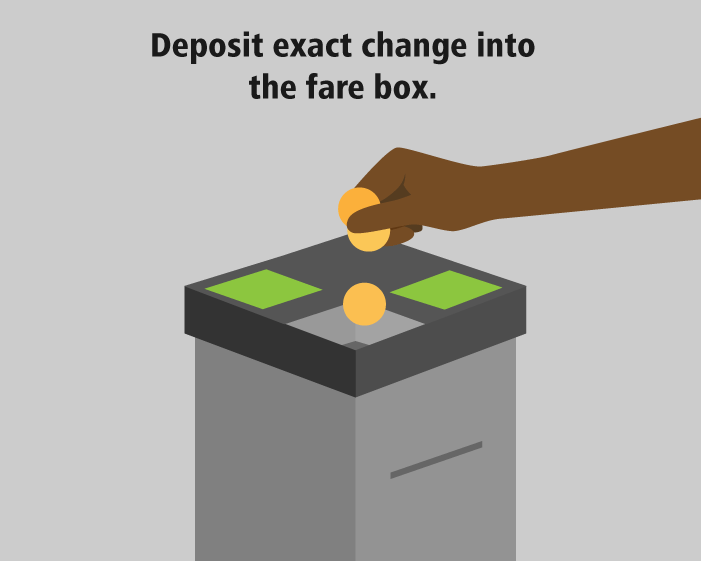 An image of a hand dropping coins into the fare box with text that reads 'deposit exact change into the fare box