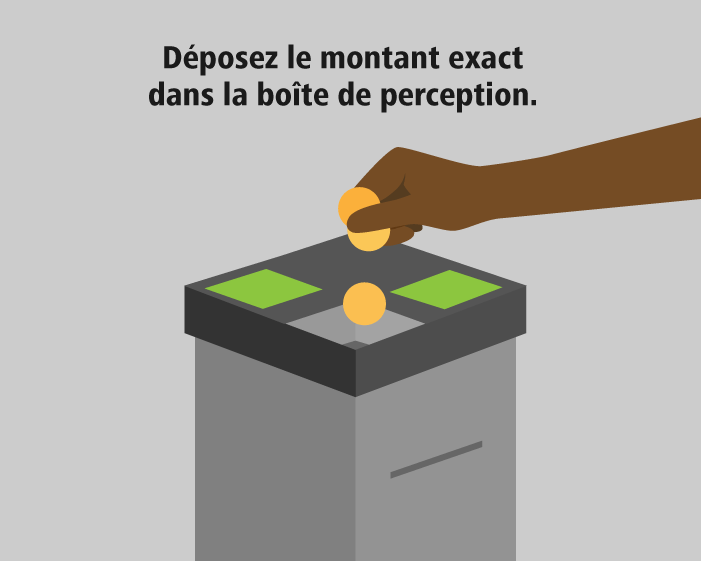 Une image d’une main déposant des pièces de monnaie dans la boîte de perception accompagnée du texte : « Déposez le montant exact dans la boîte de perception. »