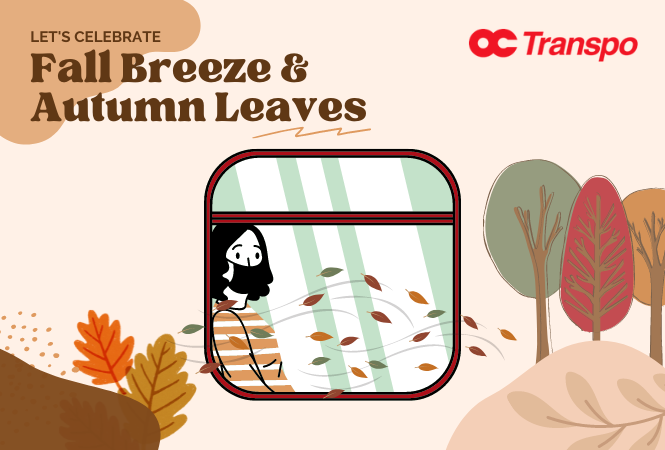 Image - Don’t miss the fall fun: Where to go with OC Transpo