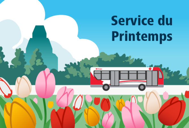 Texte sur l'image: Service du printemps. Un autobus circule dans une rue bordée de tulipes