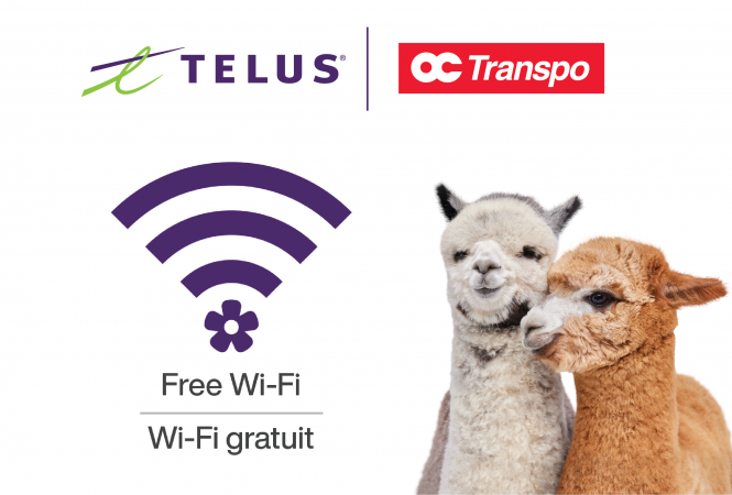 Image - Free Wi-Fi is now available at Tunney’s Pasture Station