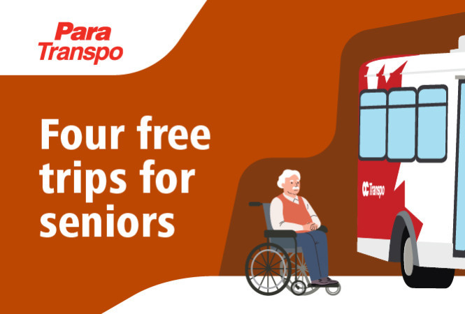 Image - Four free trips for seniors