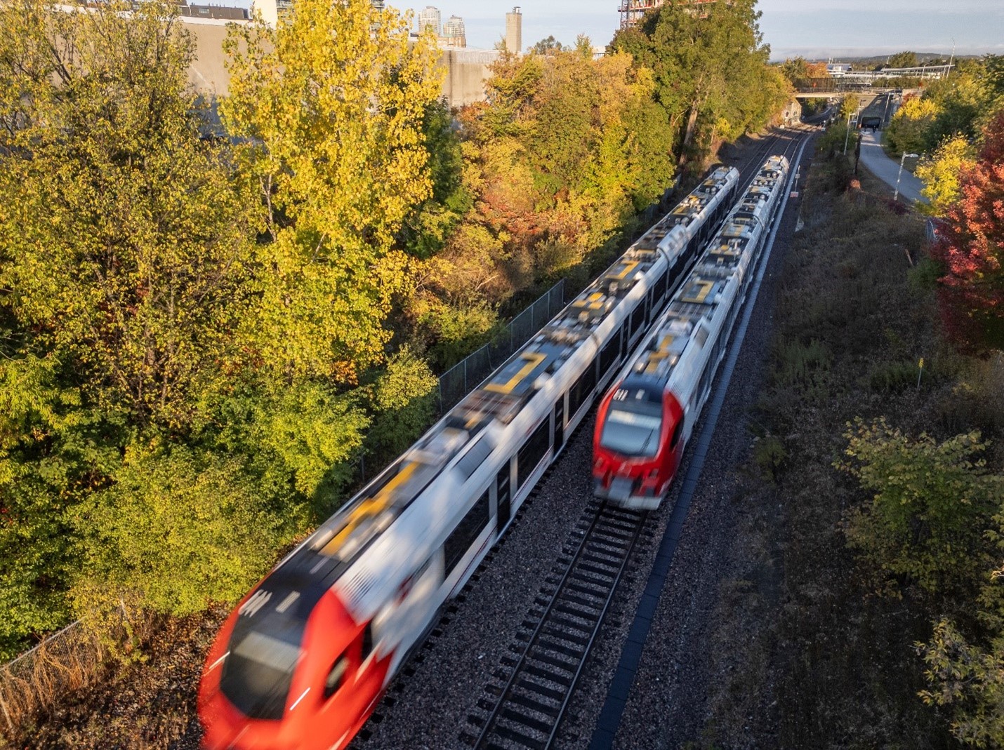 Two Stadler FLIRT trains traveling through a forested area during fall, surrounded by vibrant autumn colors of orange, yellow, and green