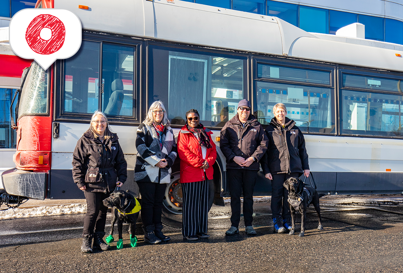 Image - OC Transpo facilite les choses aux personnes qui prennent les transports en commun avec des chiens-guides